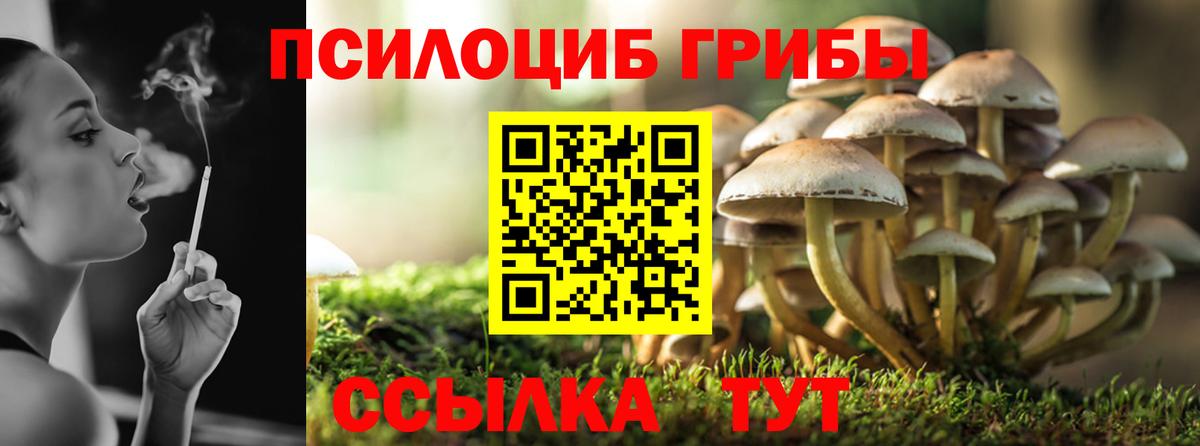 Галлюциногенные грибы ЛСД  Вход с VPN  Мелеуз 